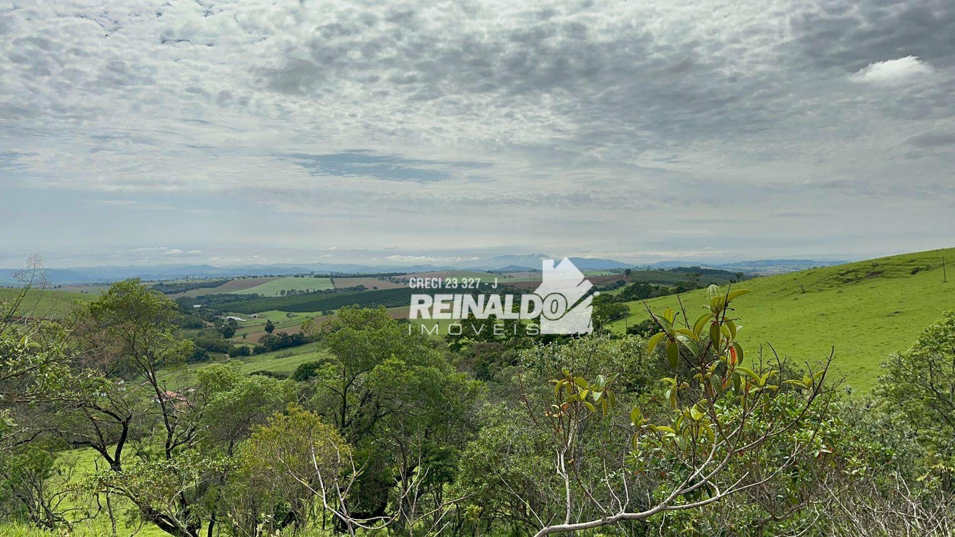 Fazenda à venda com 8 quartos, 950m² - Foto 24