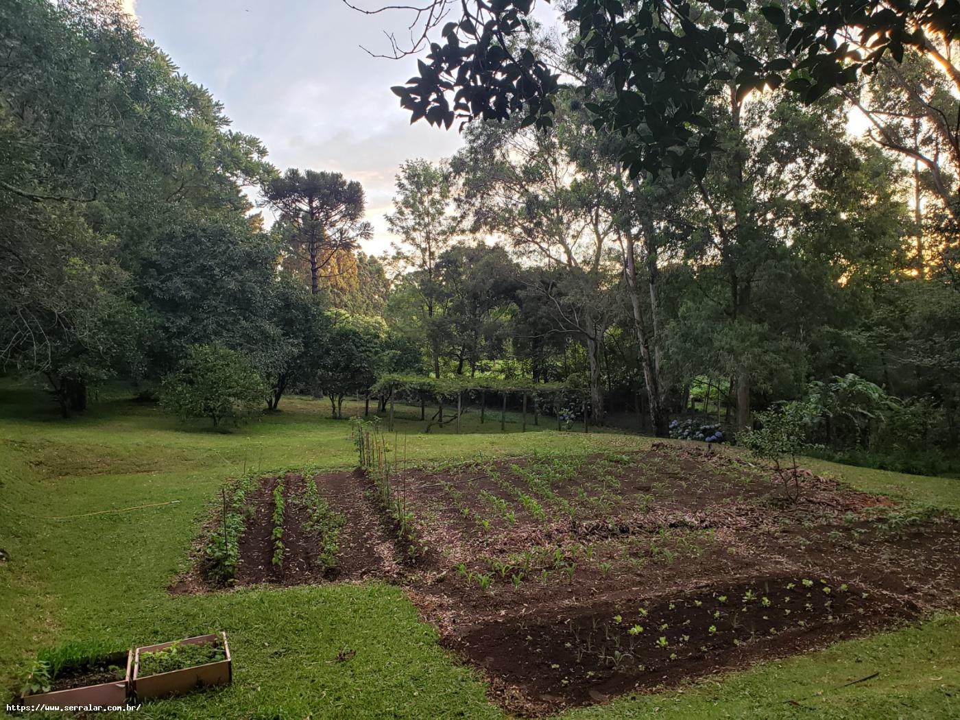 Fazenda à venda com 4 quartos, 15000m² - Foto 28