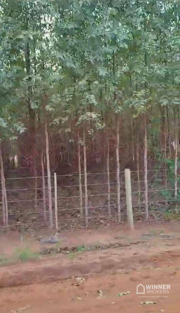 Chácara à venda com 4 quartos, 210m² - Foto 21