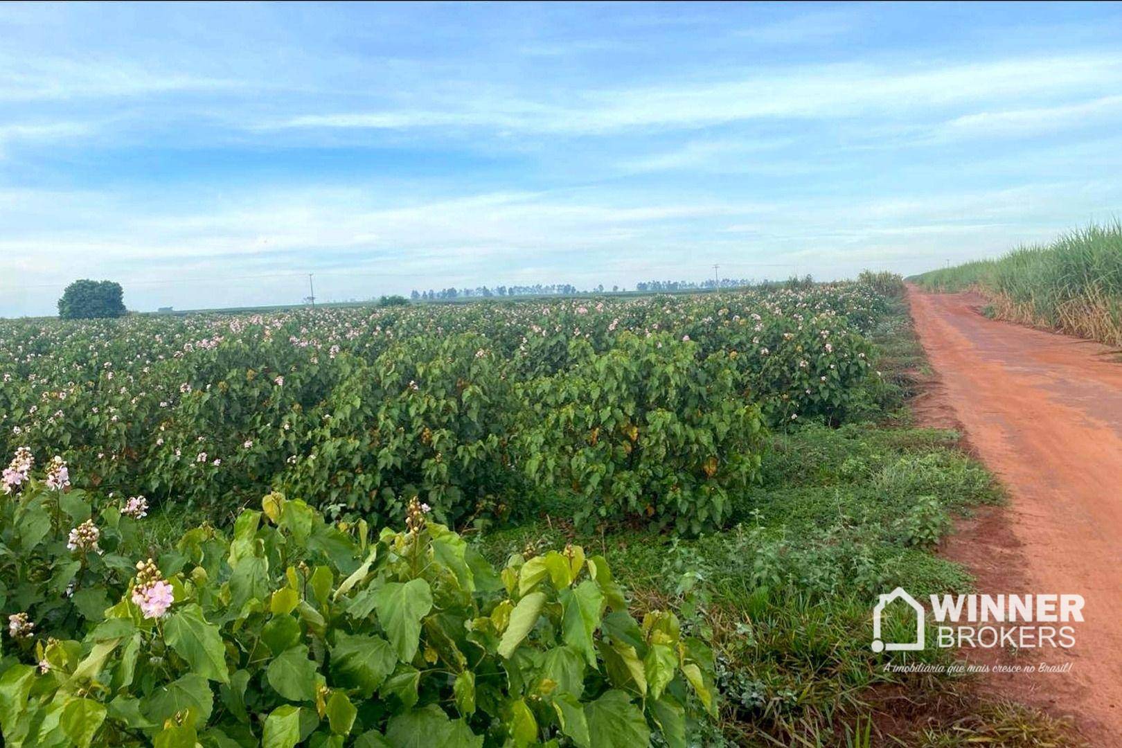 Terreno, 2 hectares - Foto 1