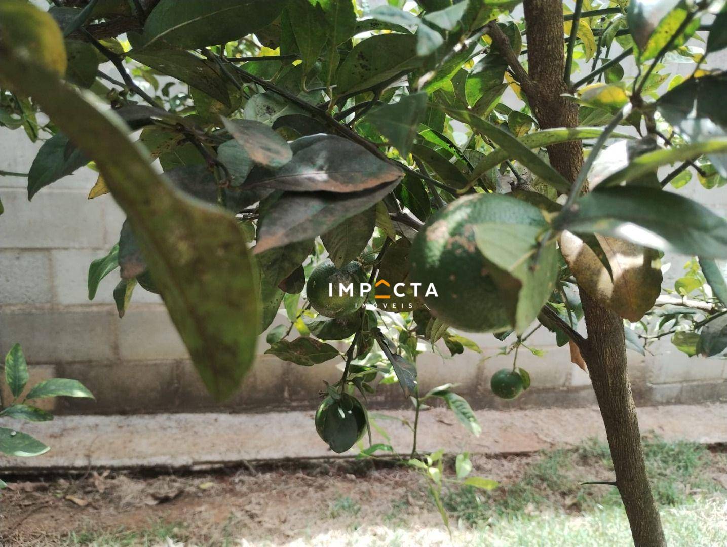 Chácara, 2 quartos, 660 m² - Foto 39