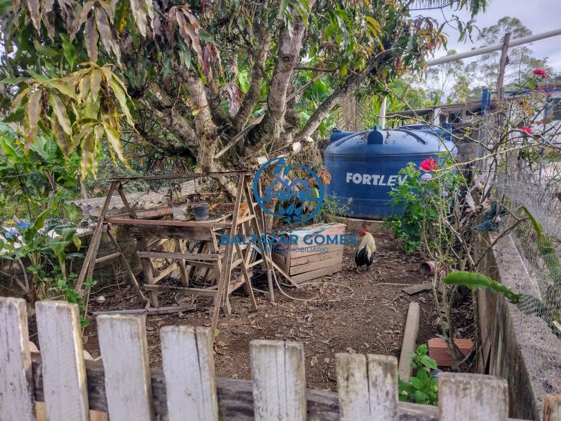 Sítio à venda com 2 quartos, 4800m² - Foto 5