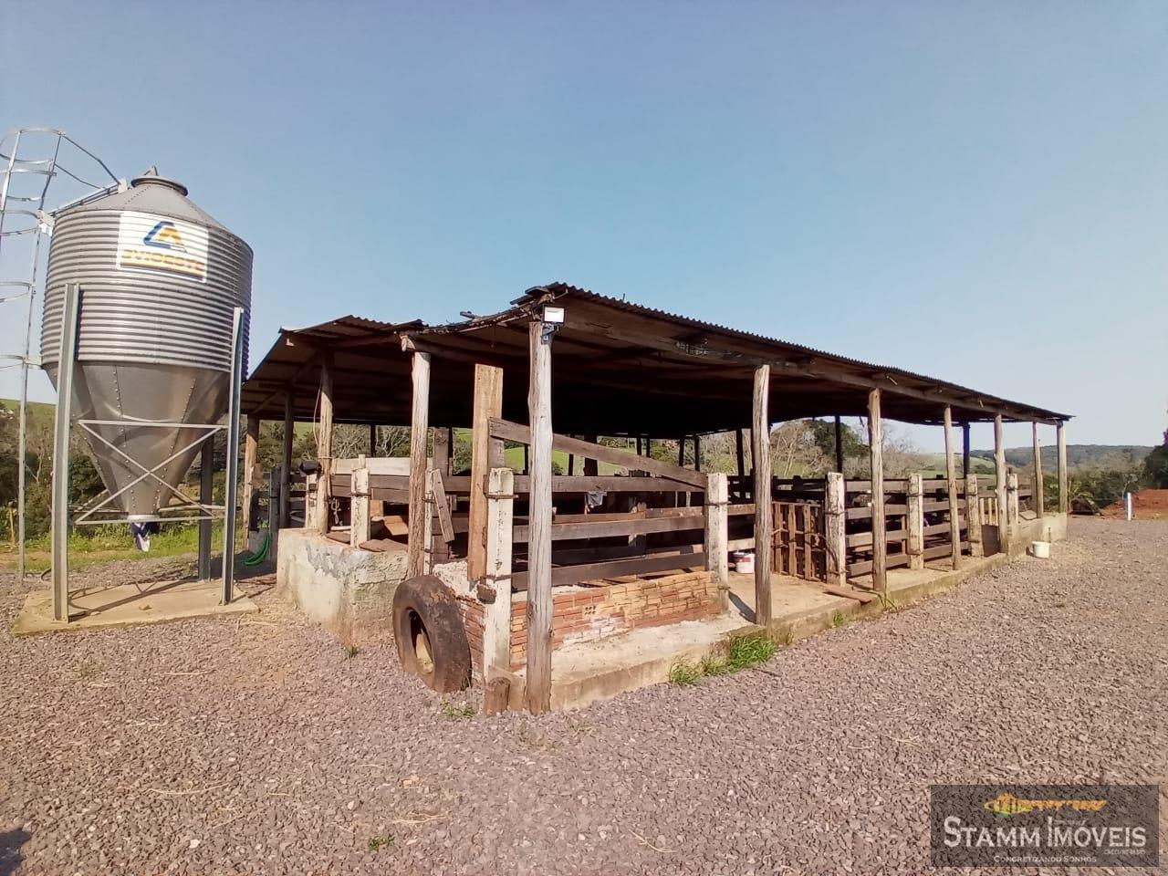 Fazenda à venda com 4 quartos, 3m² - Foto 15