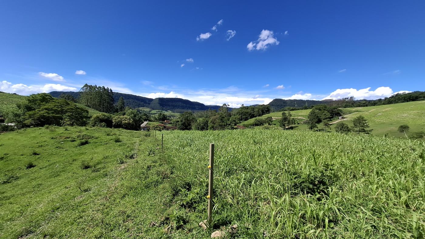 Fazenda à venda com 3 quartos, 20000m² - Foto 46