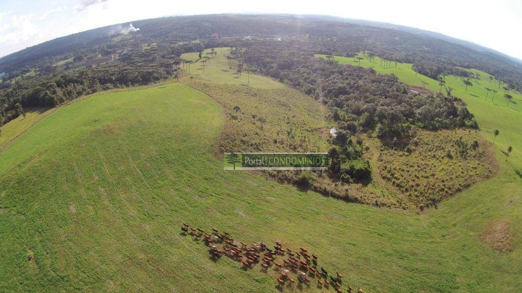 Fazenda à venda com 3 quartos, 1600m² - Foto 11