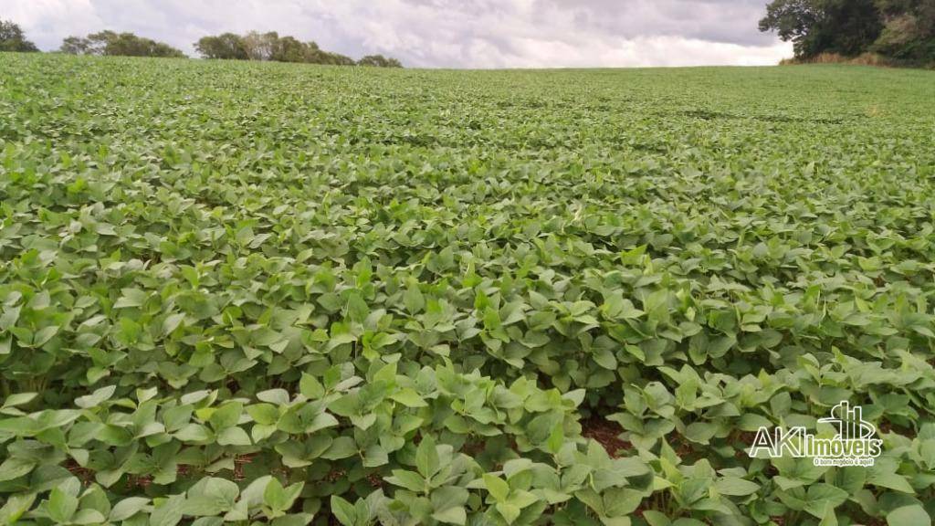 Fazenda à venda com 1 quarto, 2819300M2 - Foto 26