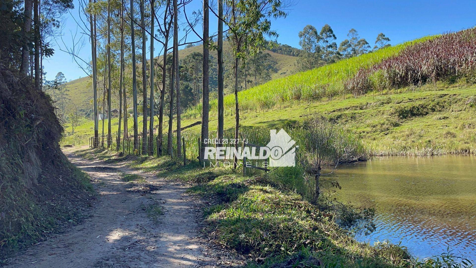 Fazenda à venda com 8 quartos, 900m² - Foto 4