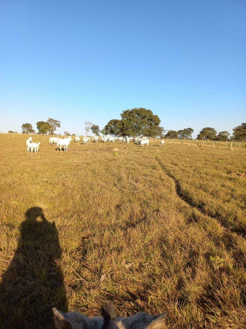 Fazenda à venda, 9970000M2 - Foto 18