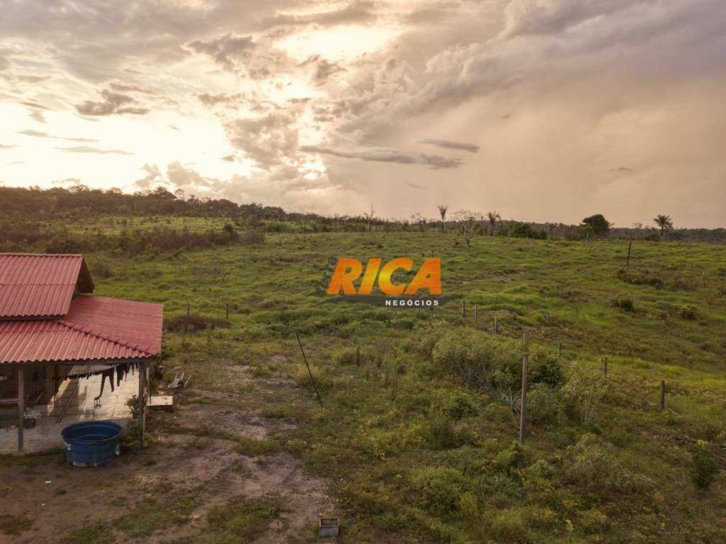 Fazenda-Sítio-Chácara, 480 hectares - Foto 3