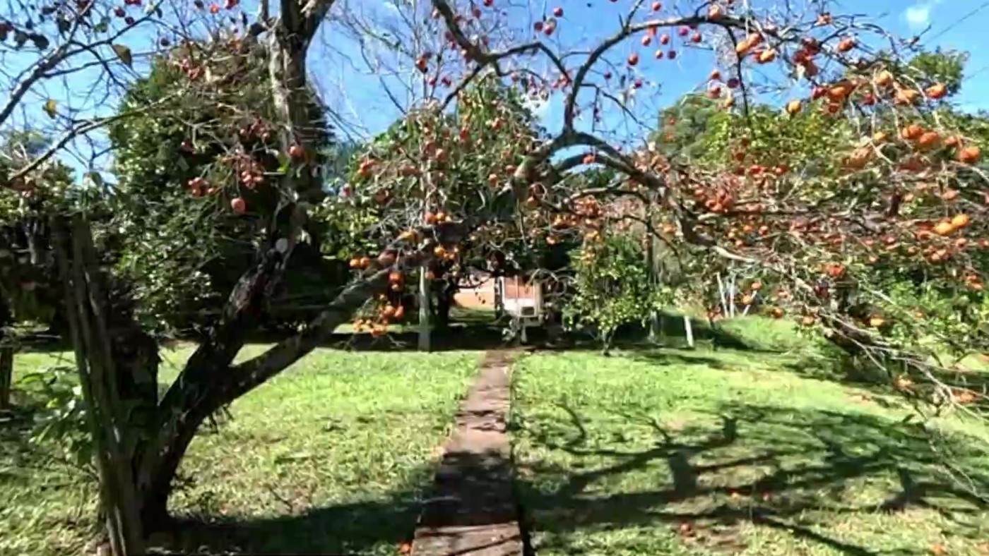 Loteamento e Condomínio à venda, 6500m² - Foto 40