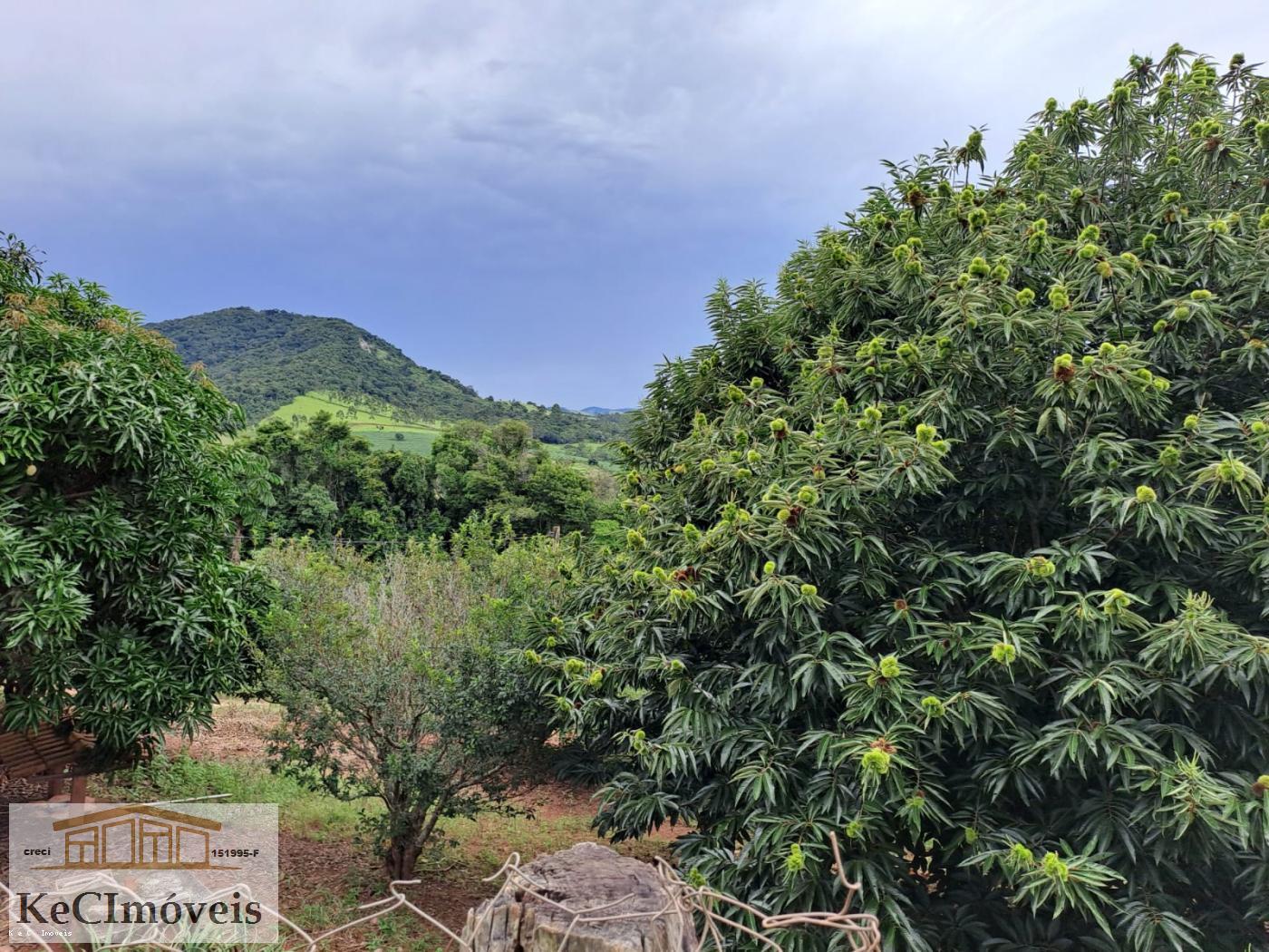 Fazenda à venda com 3 quartos, 12000m² - Foto 19