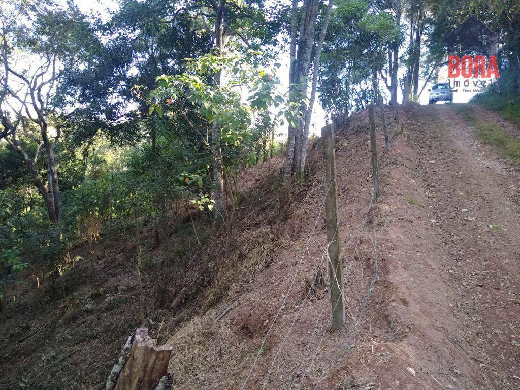 Terreno à venda, 5000M2 - Foto 4