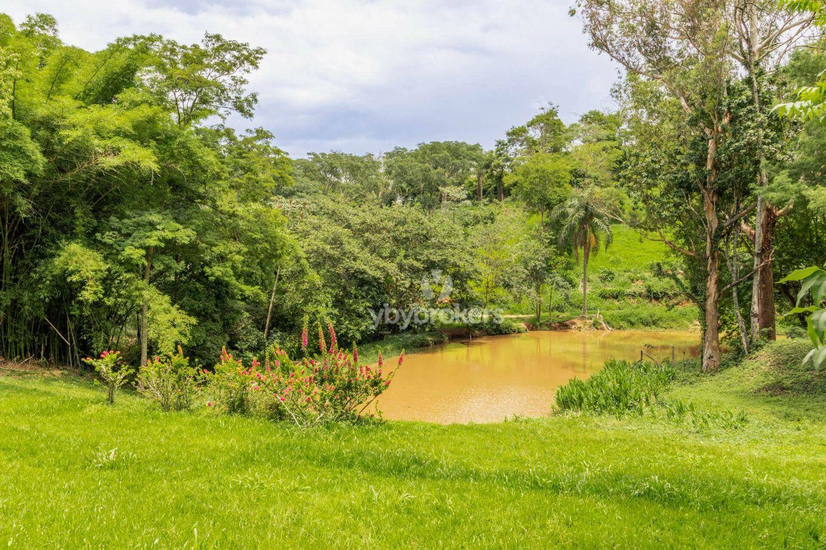 Fazenda à venda com 8 quartos, 2000m² - Foto 24