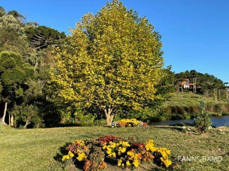 Casa, 3 quartos, 250 m² - Foto 22