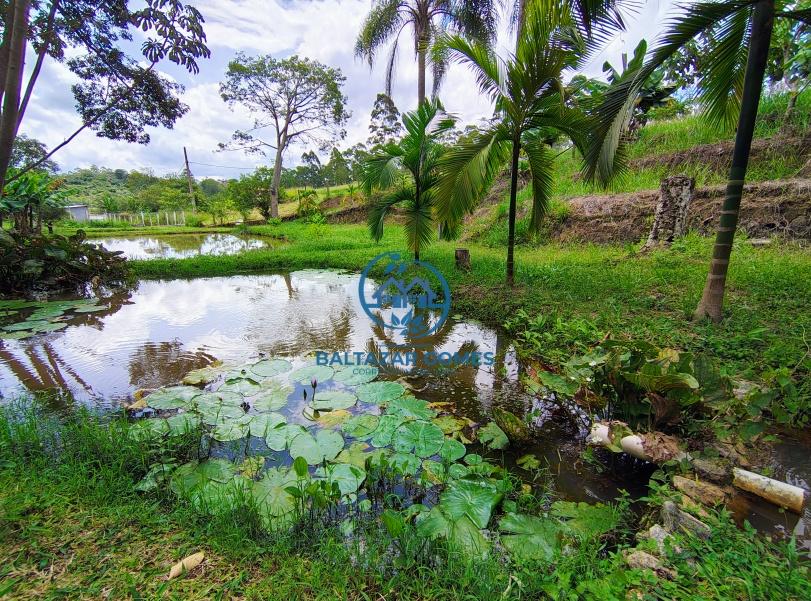 Fazenda à venda com 4 quartos, 10000m² - Foto 4