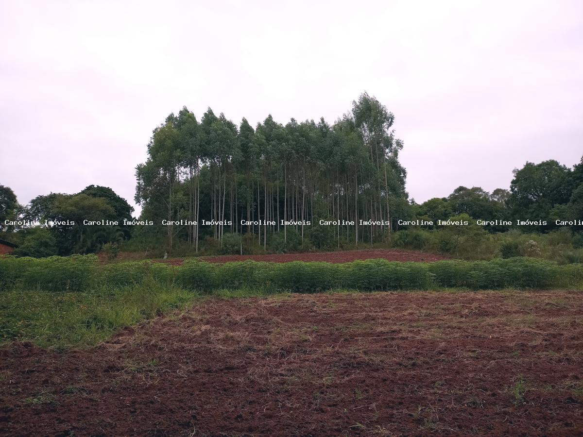 Chácara à venda, 45000m² - Foto 12