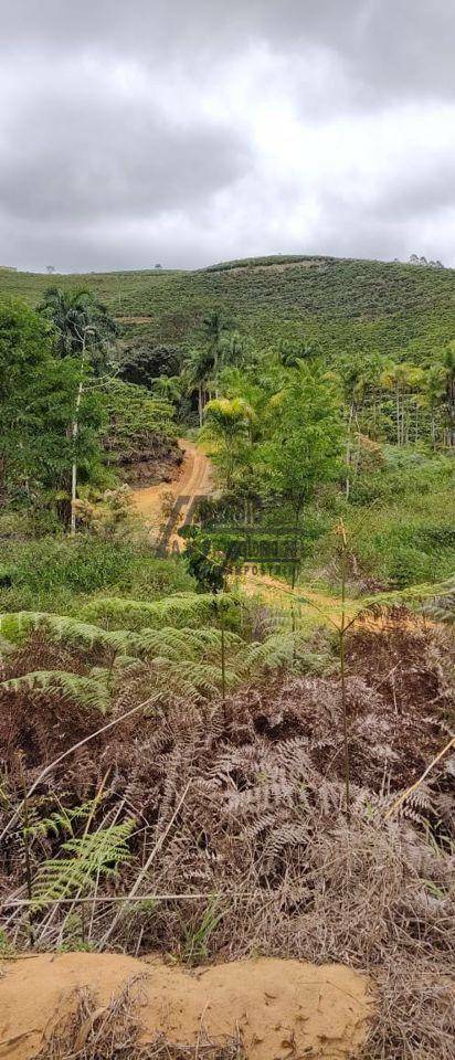 Fazenda à venda, 1452000M2 - Foto 21