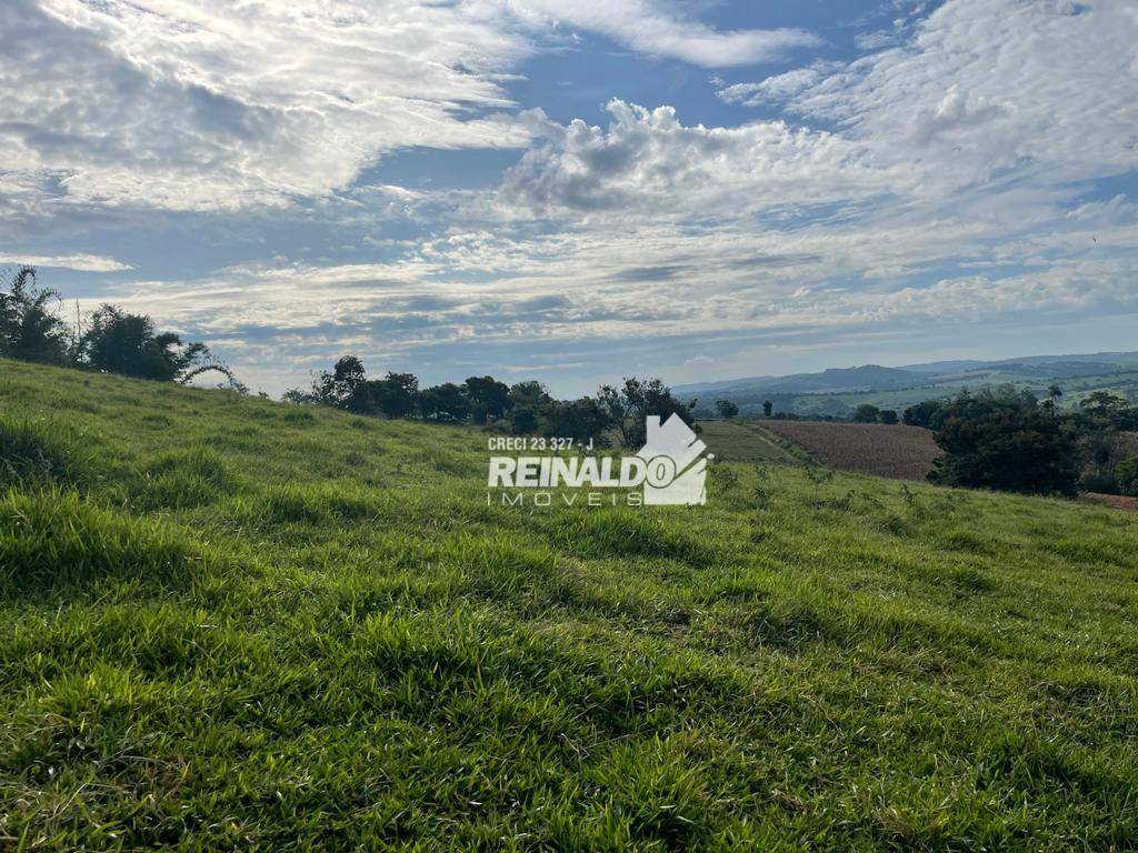 Terreno à venda, 12000M2 - Foto 9