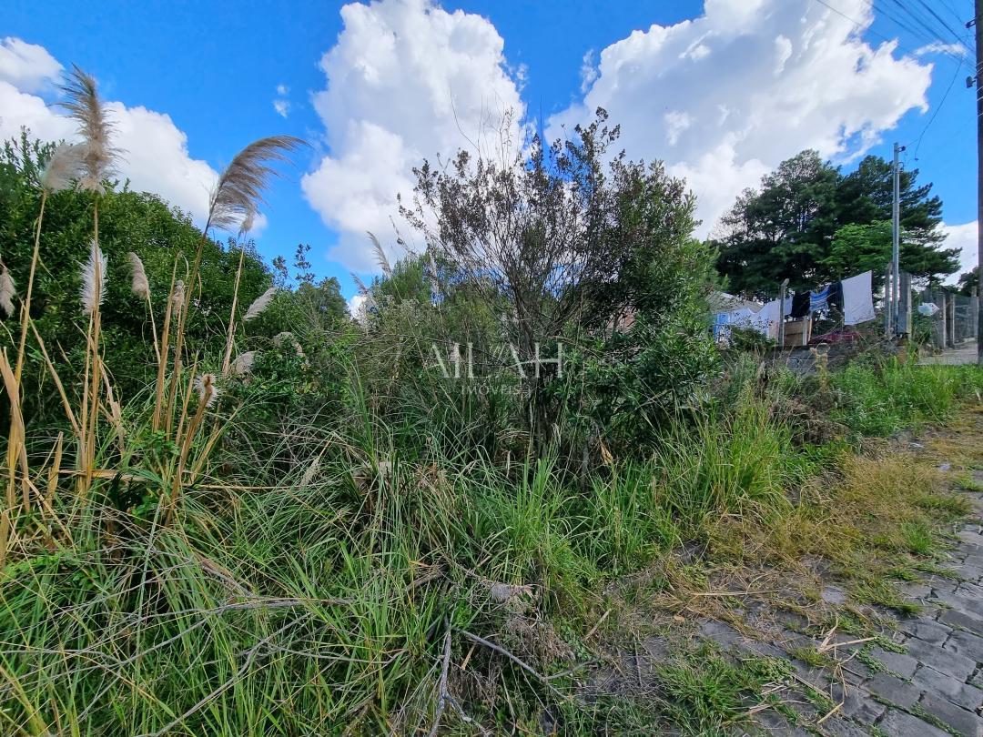 Terreno à venda, 360m² - Foto 2