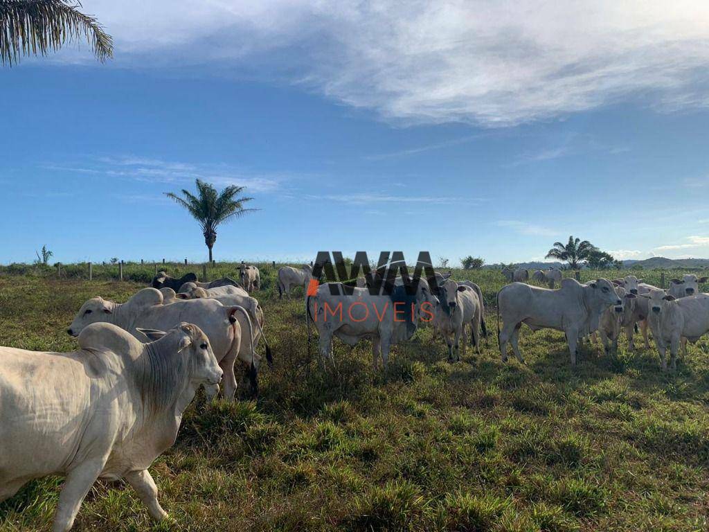 Fazenda à venda, 121000000M2 - Foto 3