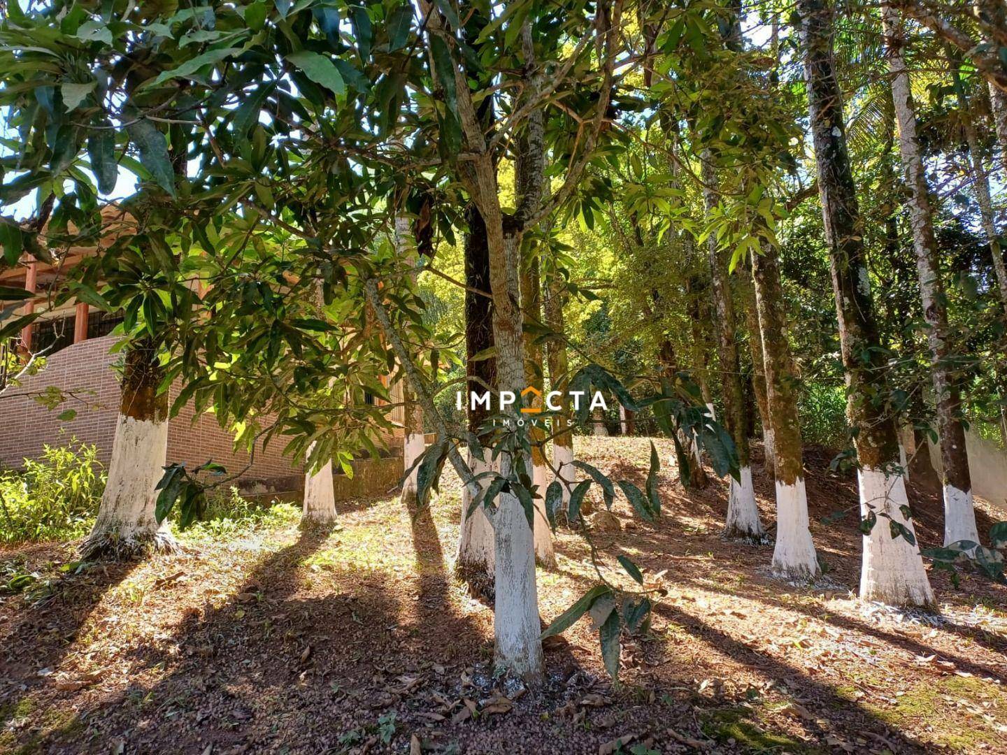 Chácara à venda com 2 quartos, 10500M2 - Foto 12