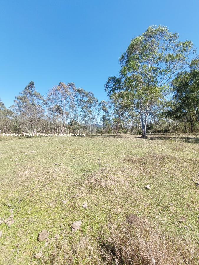 Fazenda à venda com 4 quartos, 20368m² - Foto 5