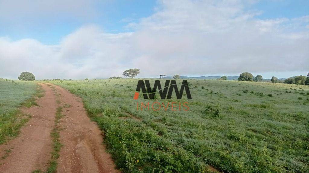 Fazenda à venda, 8760400M2 - Foto 38
