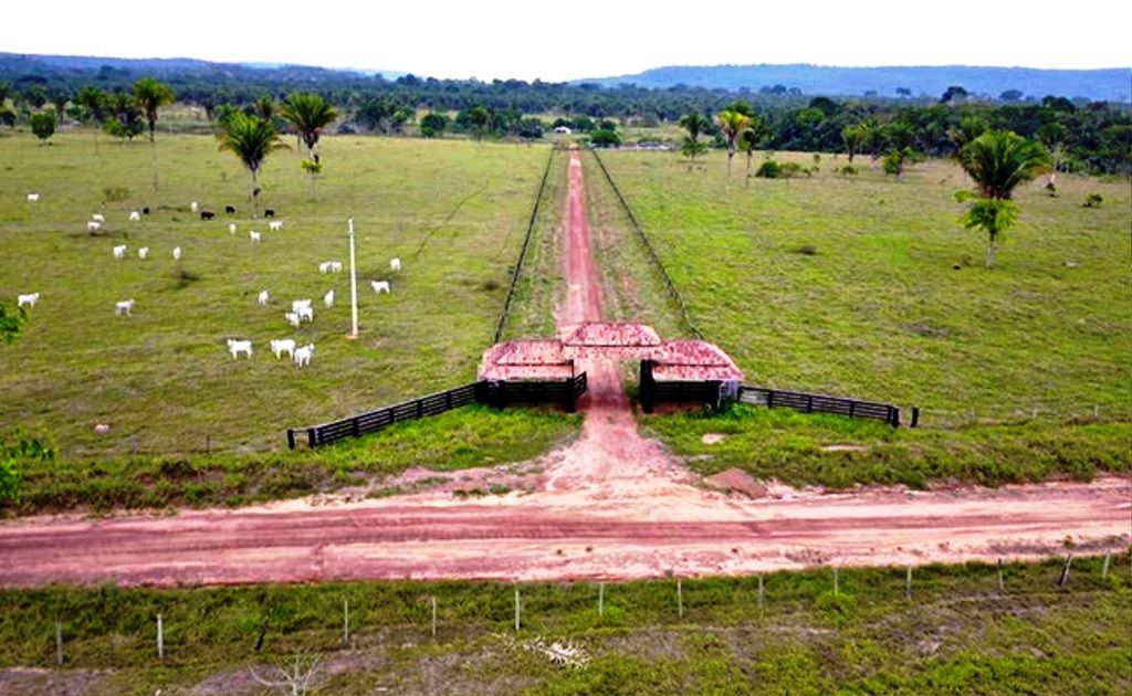 Fazenda-Sítio-Chácara, 964 hectares - Foto 3