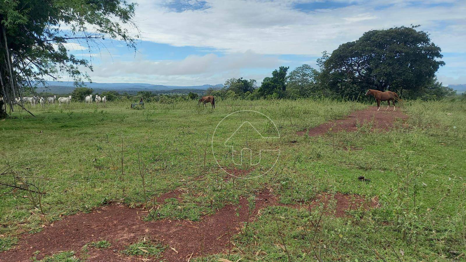 Fazenda à venda, 32000000M2 - Foto 7