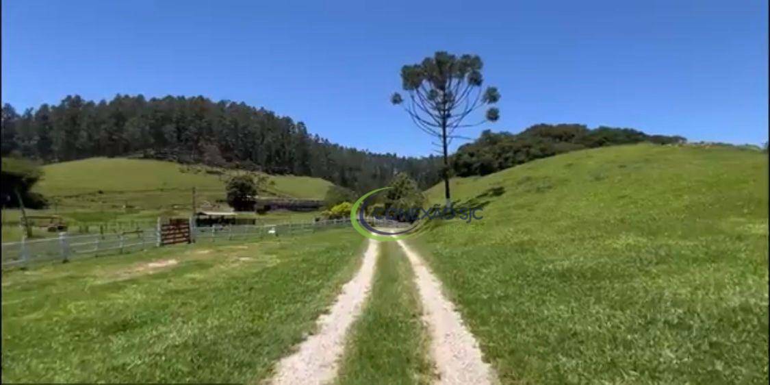 Fazenda à venda com 3 quartos, 1080000M2 - Foto 16