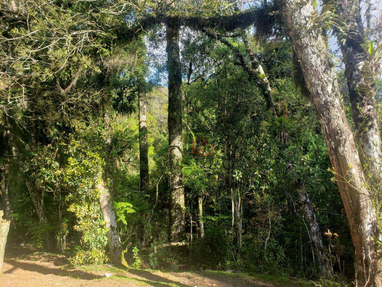 Terreno à venda, 59000M2 - Foto 9