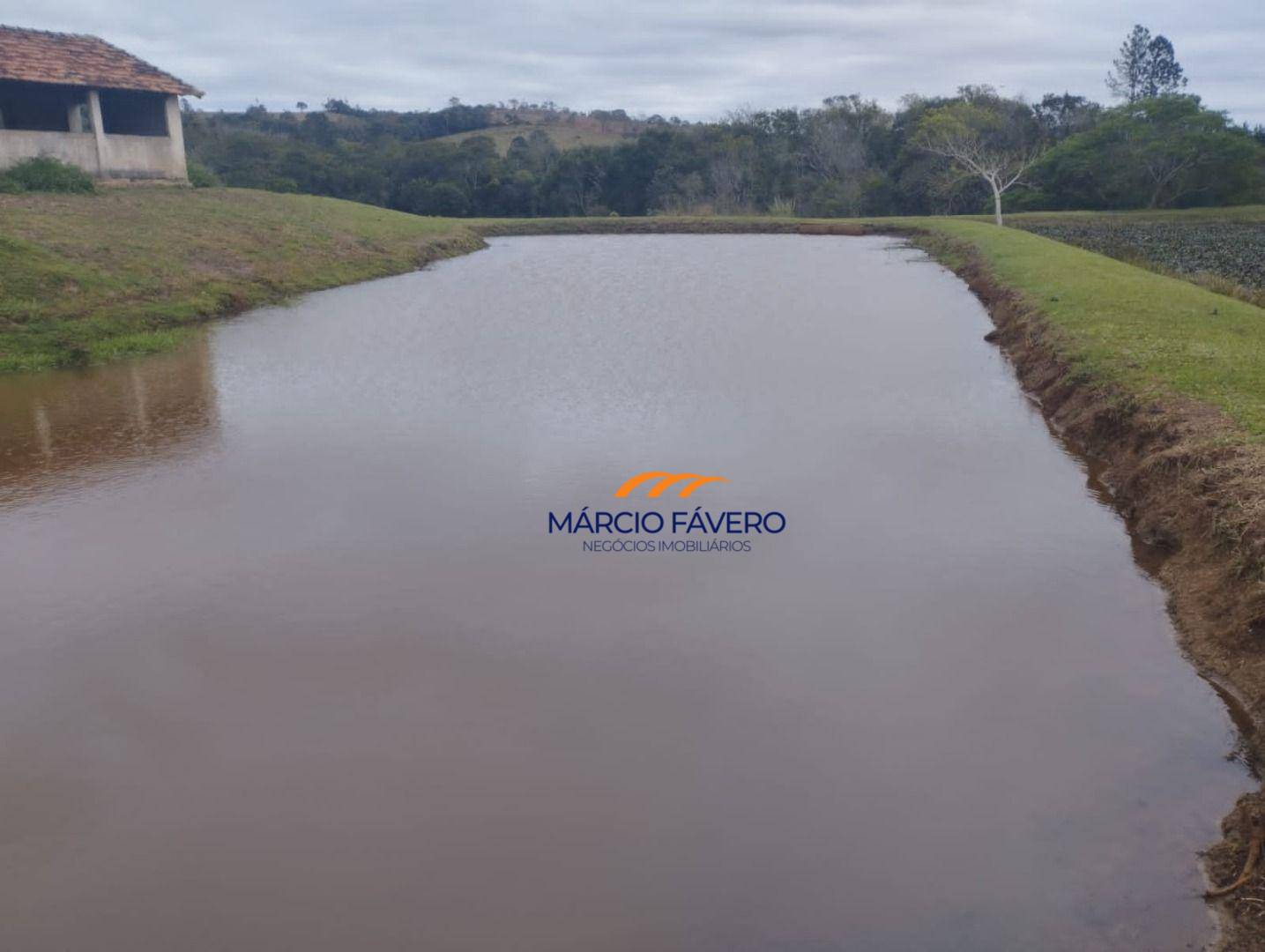 Fazenda, 1198 hectares - Foto 2