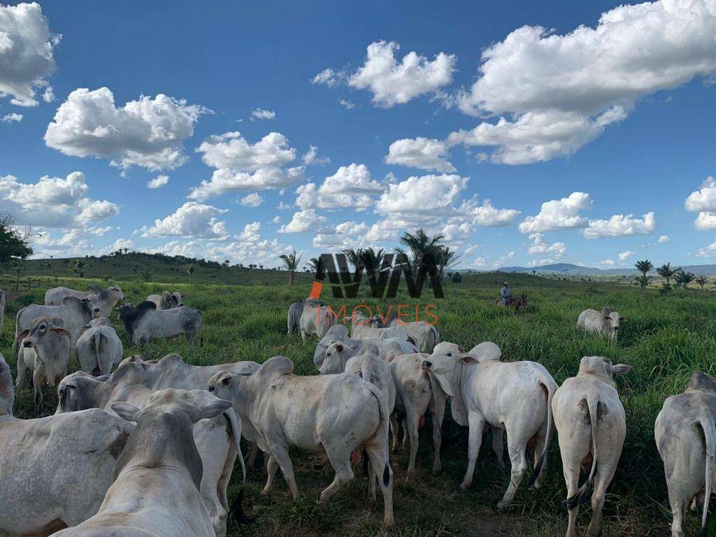 Fazenda à venda, 121000000M2 - Foto 14