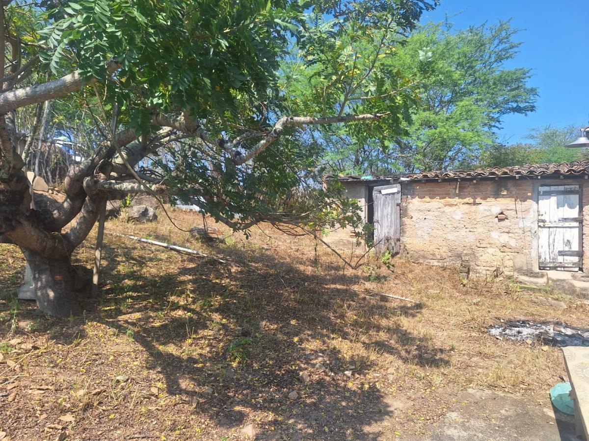 Sítio à venda com 3 quartos - Foto 13