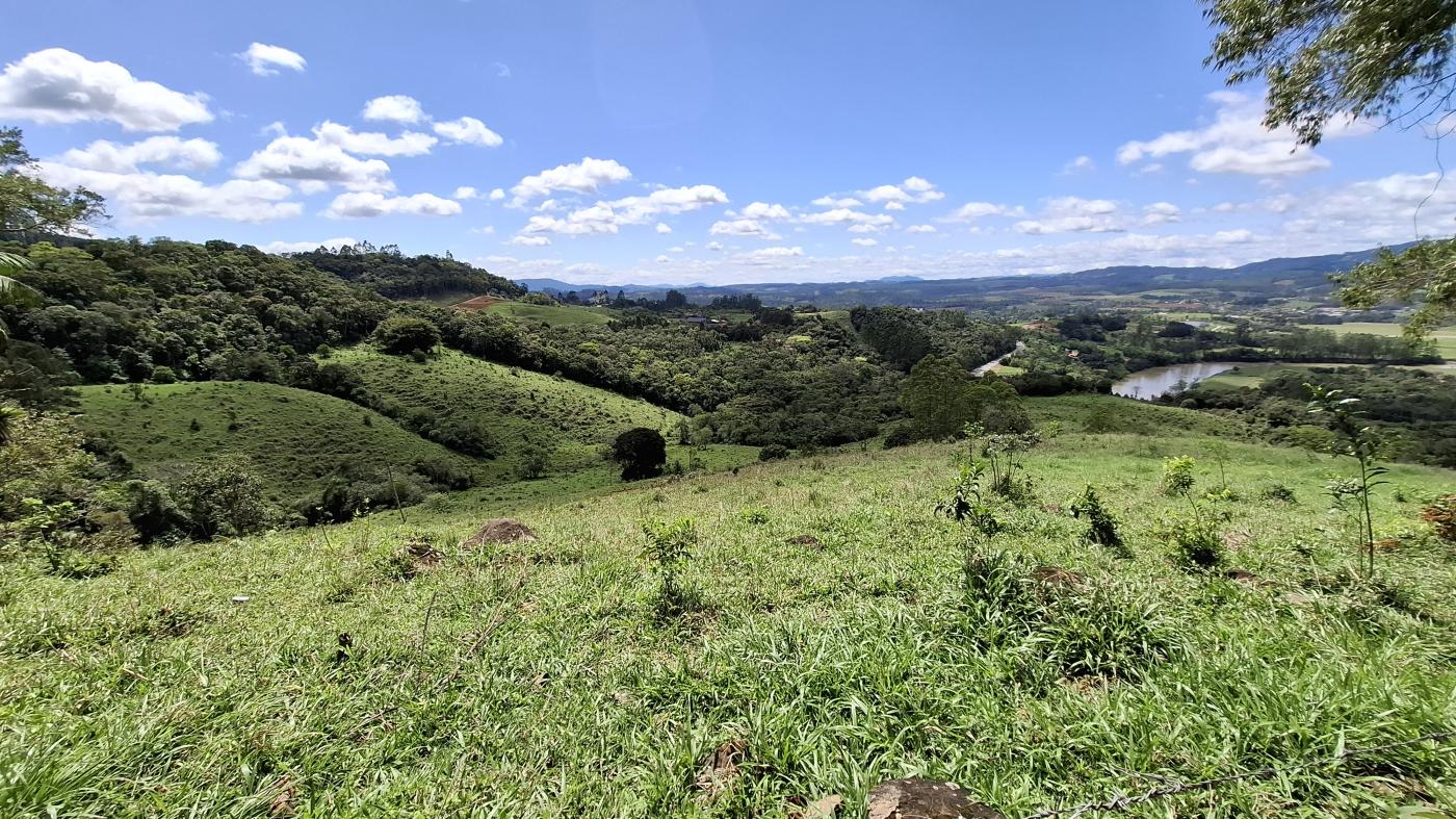 Fazenda à venda com 4 quartos, 950000m² - Foto 30