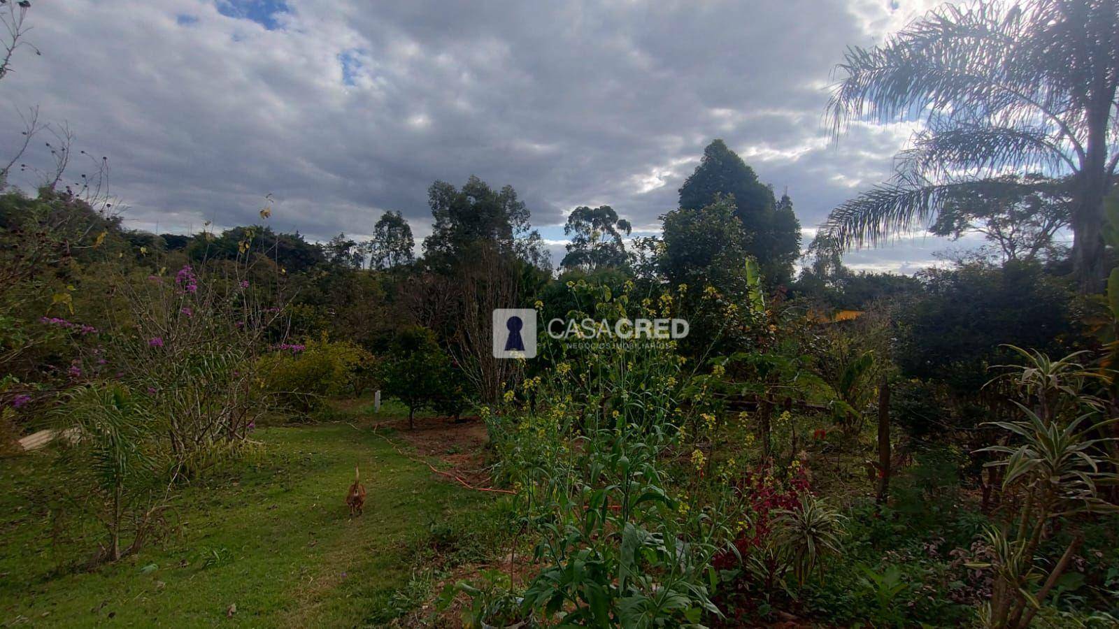 Chácara à venda com 3 quartos, 70m² - Foto 5