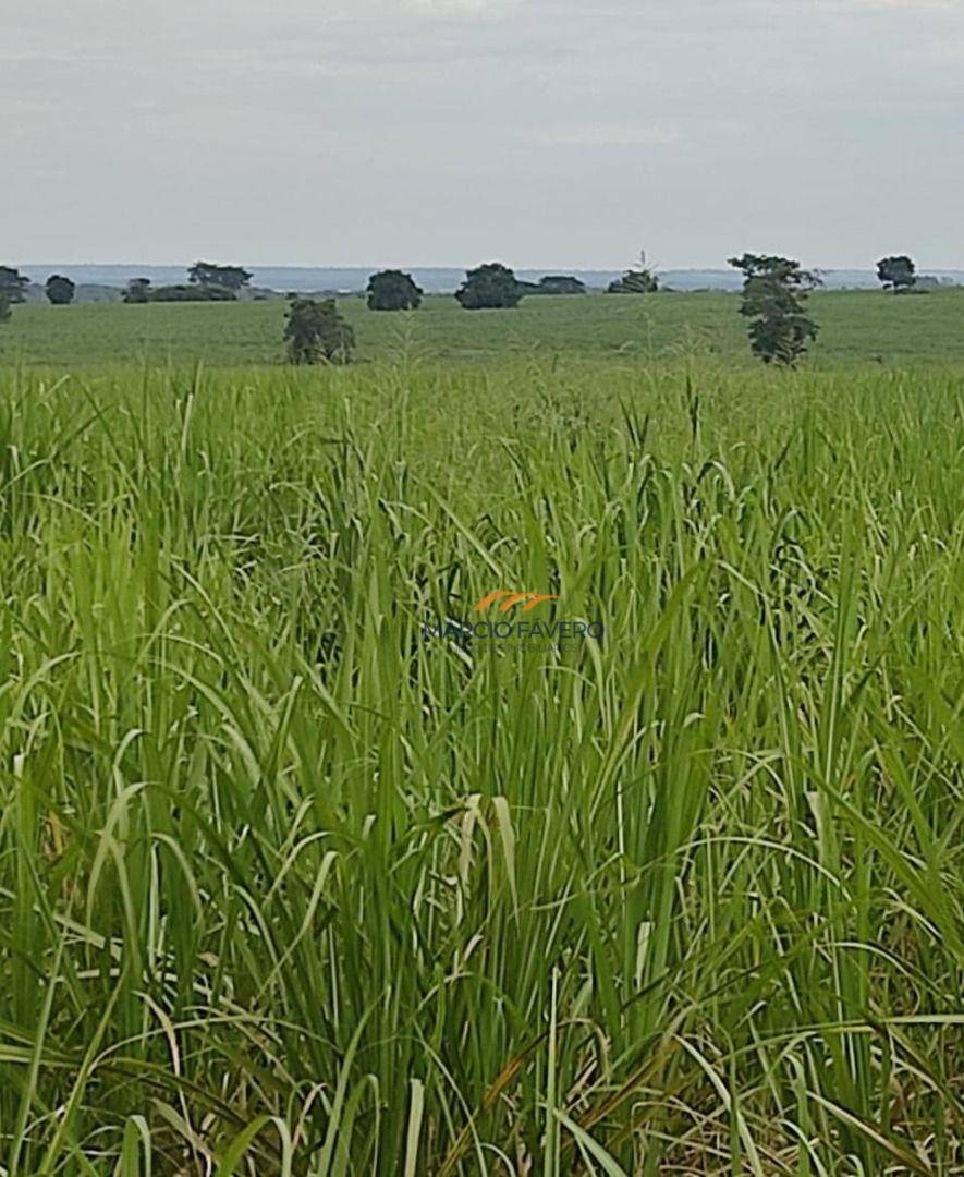 Fazenda à venda, 3146000M2 - Foto 12