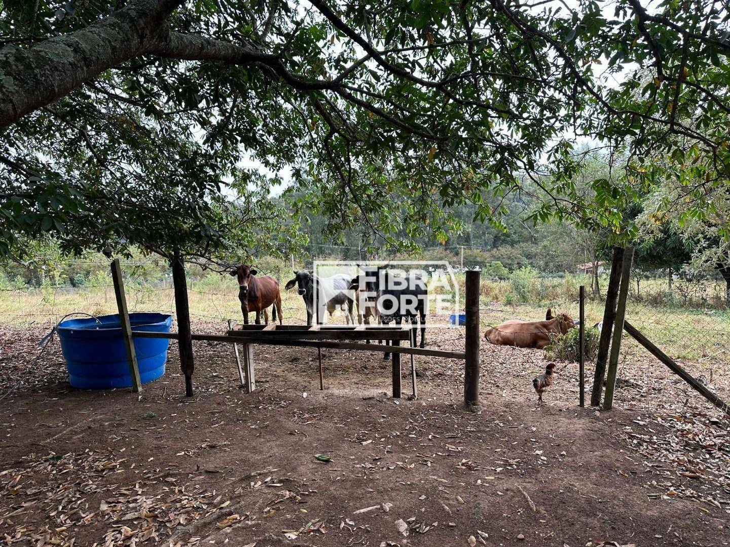 Chácara à venda com 2 quartos, 150m² - Foto 5