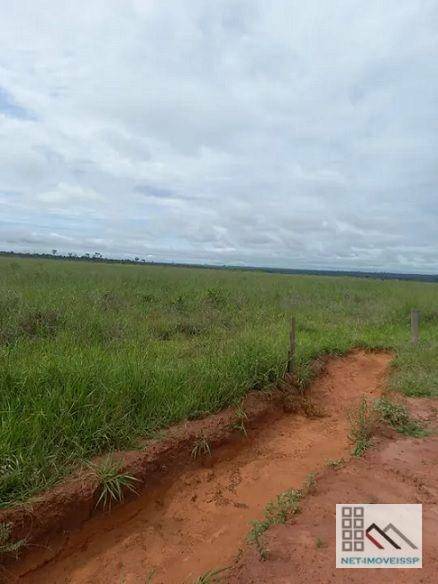 Fazenda à venda com 5 quartos, 500m² - Foto 4