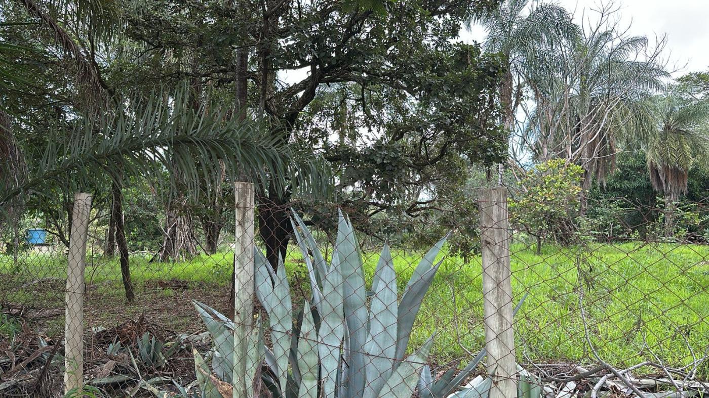 Fazenda à venda, 5000m² - Foto 4