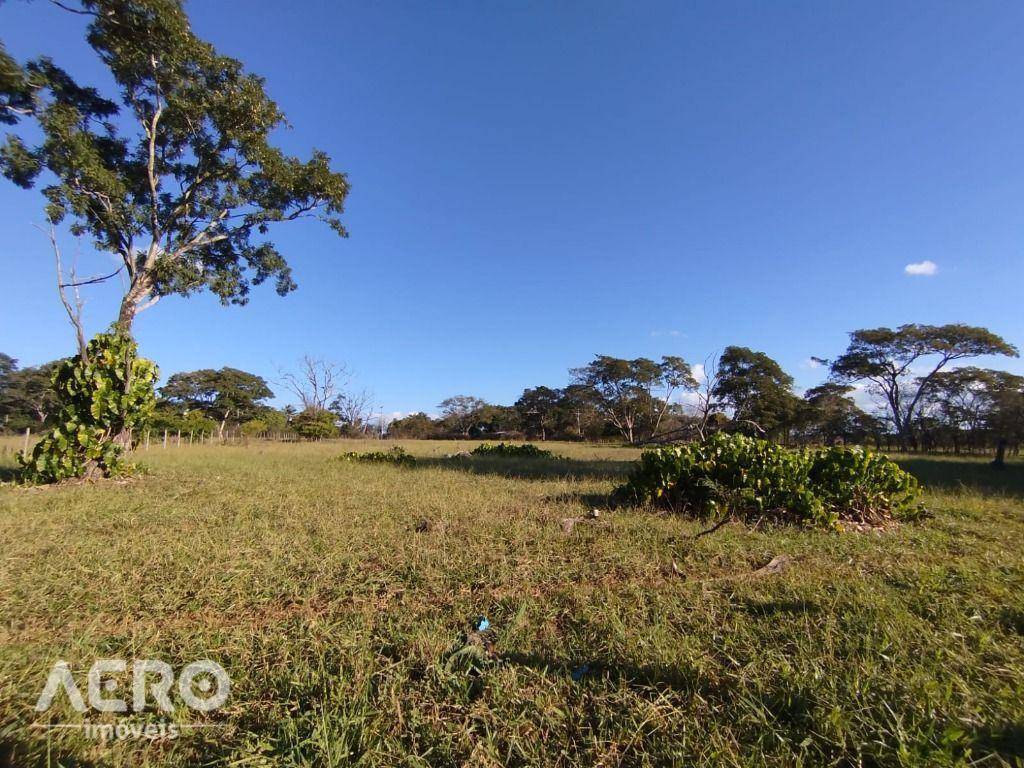 Chácara, 4 quartos, 2 hectares - Foto 30