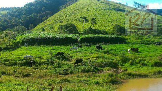 Sítio à venda com 2 quartos, 411400M2 - Foto 14