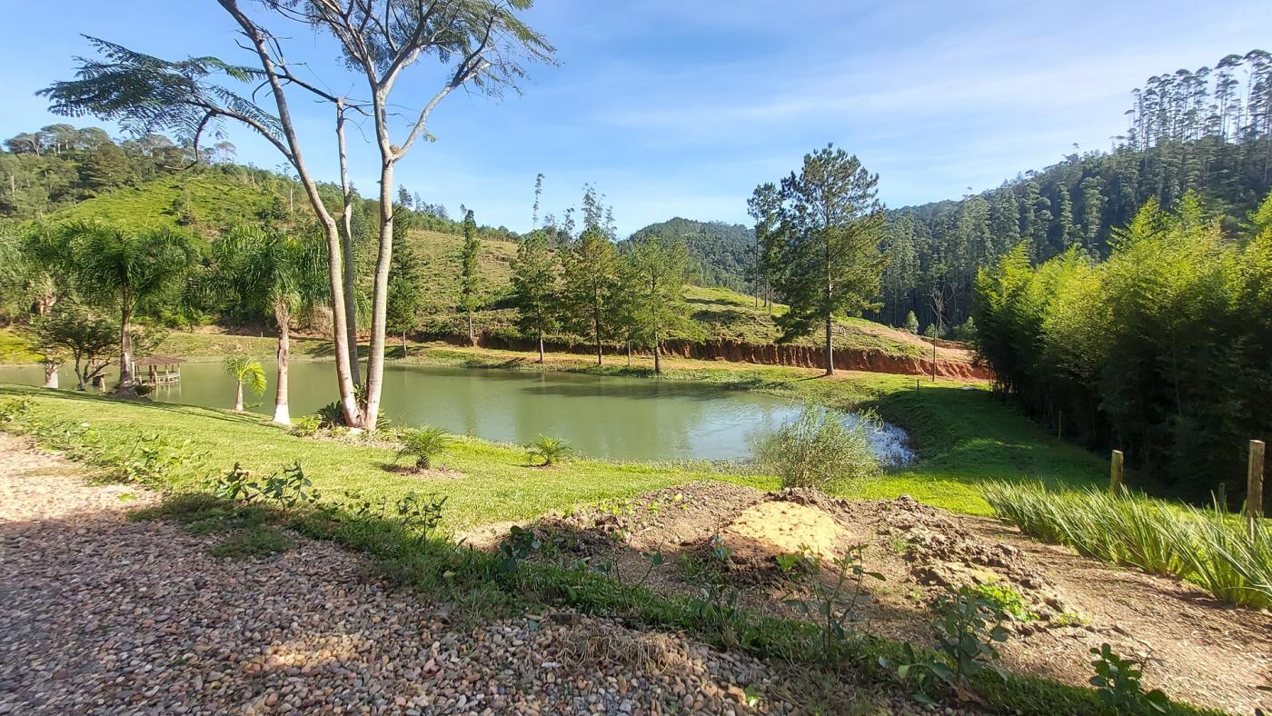 Fazenda à venda com 4 quartos, 4140000m² - Foto 3