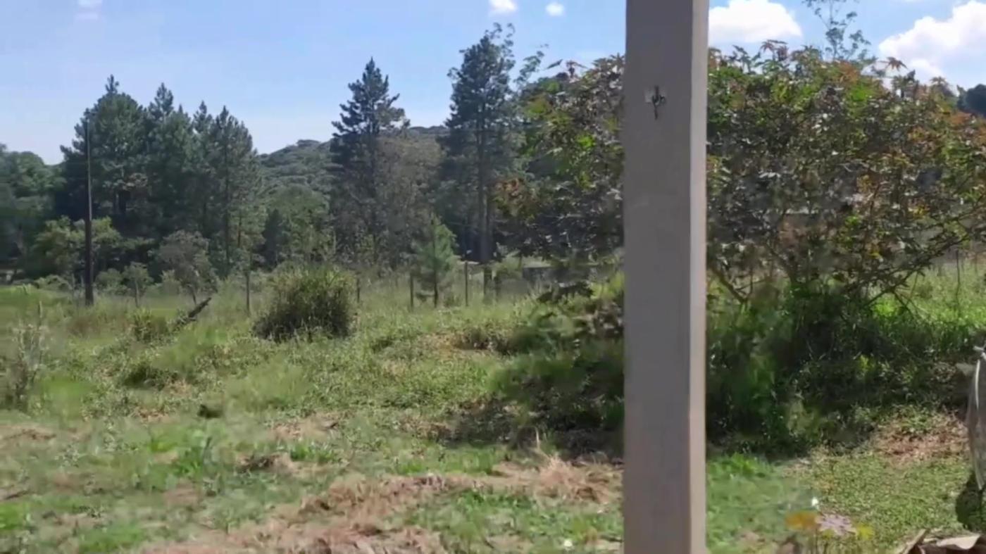Chácara à venda com 2 quartos, 1800m² - Foto 20