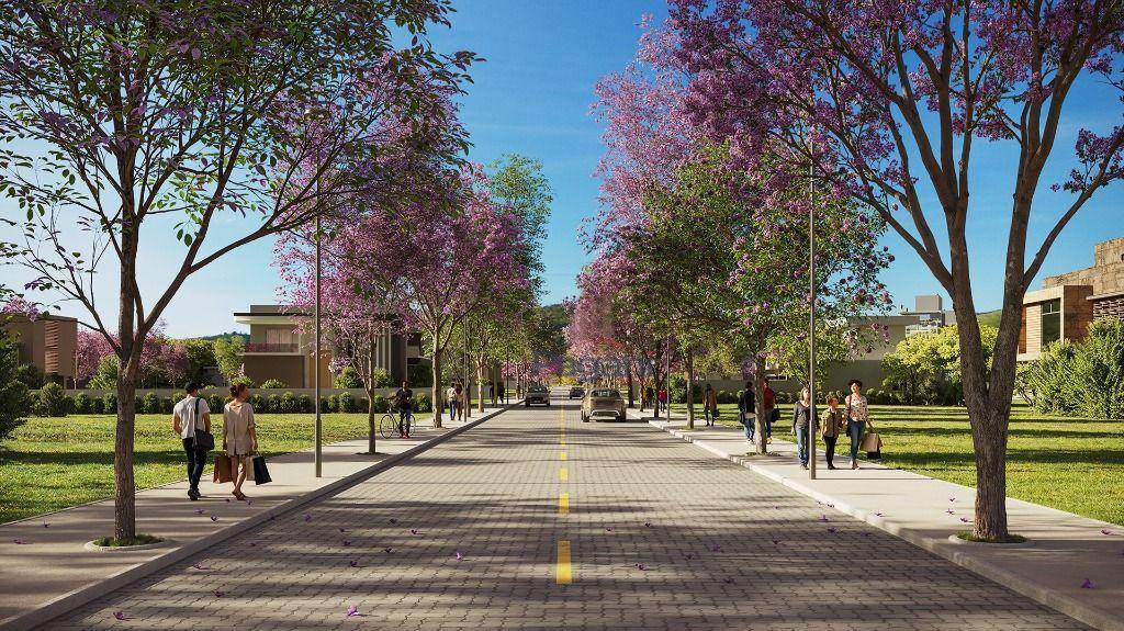 Terreno, 250 m² - Foto 18