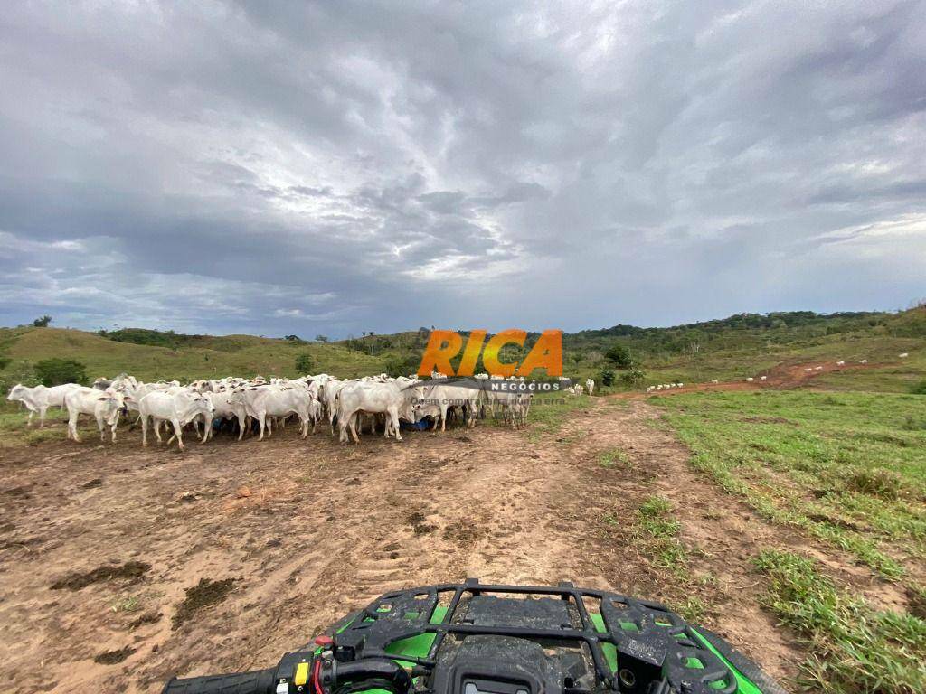 Fazenda à venda, 30000000M2 - Foto 4