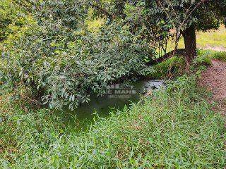 Sítio, 3 quartos, 4 hectares - Foto 19