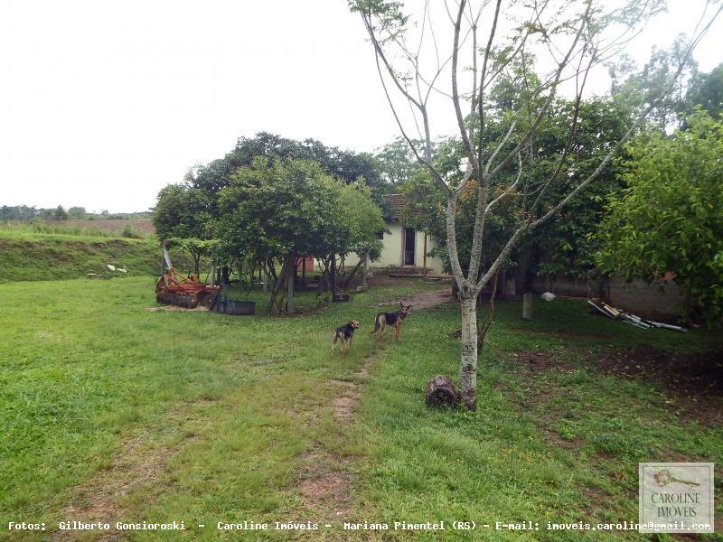 Fazenda à venda com 3 quartos, 60000m² - Foto 7