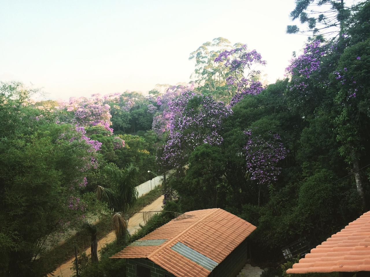 Fazenda à venda com 2 quartos, 1890m² - Foto 17