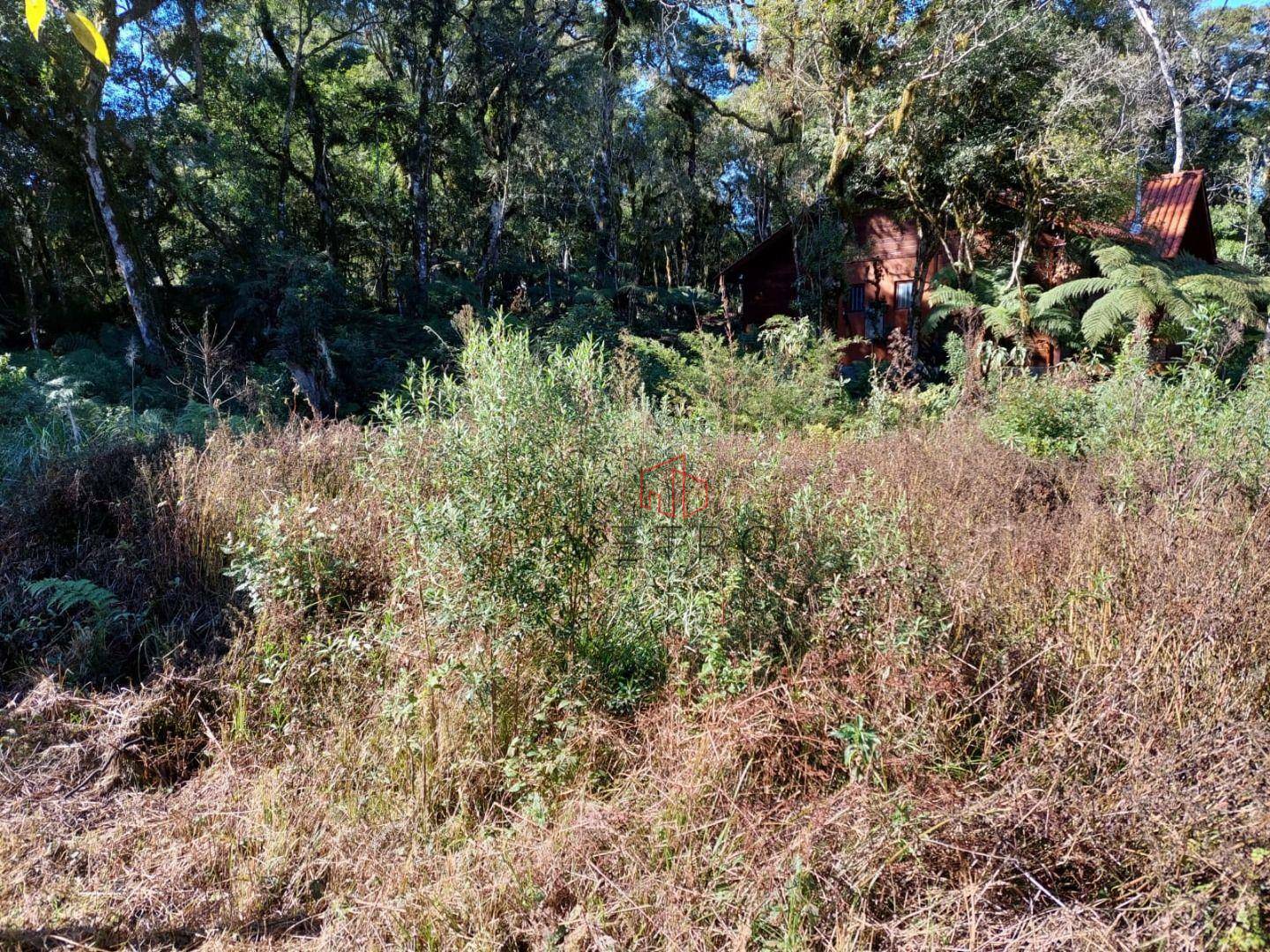 Loteamento e Condomínio à venda, 720M2 - Foto 4